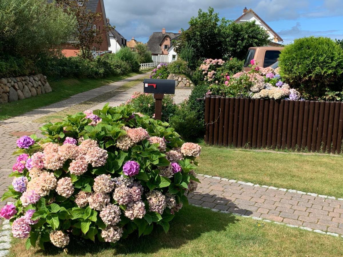 Haus Boy Jensen Duenenblick Apartment Wenningstedt-Braderup